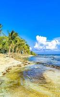 Tropical mexican beach clear turquoise water Playa del Carmen Mexico. photo