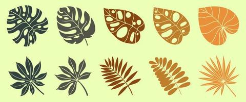 Vector set of tropical theme leaves