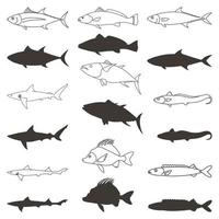 Free vector collection of fish in various types 1