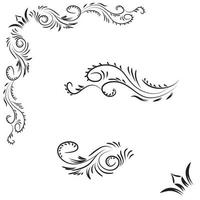 Decorative beauty elegant illustration for design hand drawn flower vector