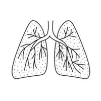 Hand drawn vector illustration of human lungs in doodle style. Cute illustration of lungs icon on white background.