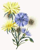 Vector isolated illustration of wildflowers.