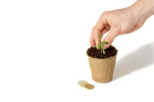 Hand of the men were planting tomato the seedlings into the ground to dry.The concept of eco-friendly packaging. photo