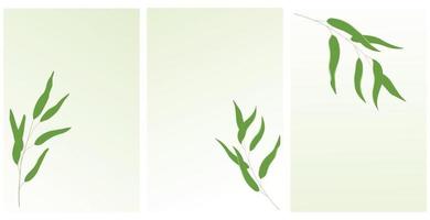Willow branch. Botanical posters in minimalism. Exquisite green leaves. Vector stock illustration. Isolated on a white background.