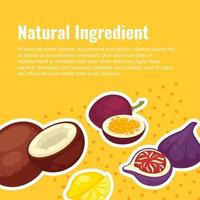 Natural ingredients for healthy diet and lifestyle vector