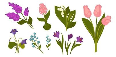 Spring flowers in blossom, crocus and snowdrops vector