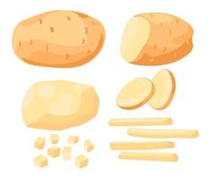 Ripe raw potato, whole and chopped vegetable set vector