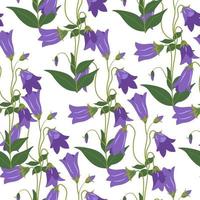 Bluebell flowers in blossom, blooming flora vector