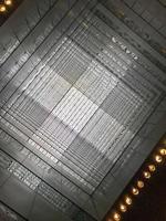 Lattice Ceiling detail photo