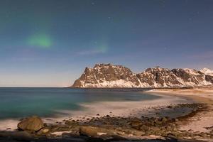 Aurora borealis, northern light in Lofoten, Norway photo