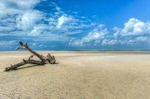 isla de bazaturo, mozambique foto