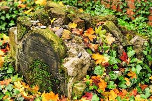 Grosse Hamburger Strasse cementerio judío foto