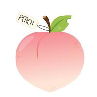 Peach vector. Peach heart vector. Peach on white background. Peach logo design. vector