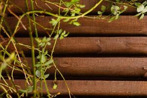 wooden board and greenery garland photo