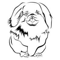 pet dog line art vector image