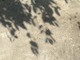 Shadow leaves on old wall background photo