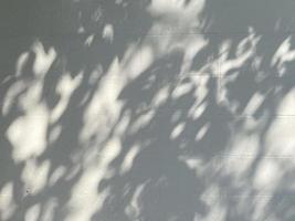 hojas de sombra sobre fondo de pared de hormigón foto