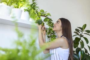 mujer joven, mamá planta, cuidando sus plantas en casa, ama la jardinería y la naturaleza. tiro interior foto