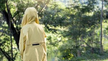 Young boy wearing a yellow  sweatshirt turned his back and looking at the nature of the tall trees ahead. Nature background of green leaves. photo