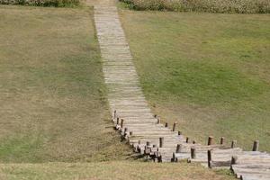 Walkway in the park on green grass photo