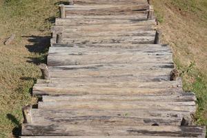 Walkway in the park on green grass photo