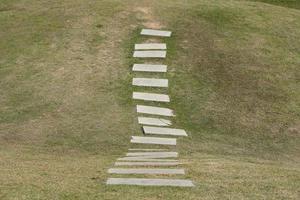 Walkway in the park on green grass photo