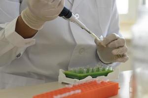 Scientist using micropipette transfer sample into micro well plate. photo