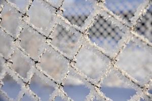 Snow frost on the iron fence of the fence. Mesh netting. Snow patterns on iron. photo