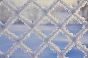 Snow frost on the iron fence of the fence. Mesh netting. Snow patterns on iron. photo