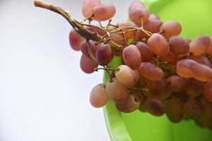 una rama de uvas rojas en un plato verde. uvas lavadas en un recipiente de plástico. foto