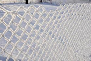 Snow frost on the iron fence of the fence. Mesh netting. Snow patterns on iron. photo