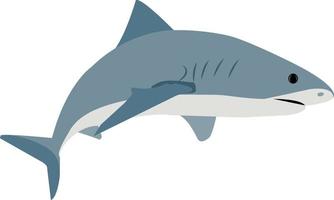 design vector shark