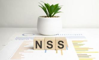 wooden blocks with text NSS Network Security Services on a chart background and green plant photo