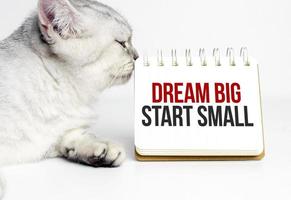 dream big start small word on notebook with office supplies photo