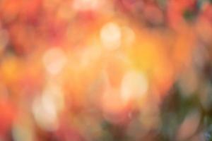 Defocus light of different colors. Blurred background abstract red orange green white. photo