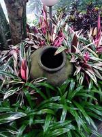 old urn in the middle of beautiful grass photo