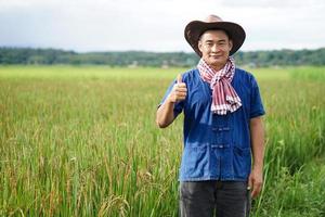 Portrait of Asian man farmer wears hat, blue shirt, thumbs up,  stands at paddy field. Concept, Agriculture occupation. Thai farmers grow  organic rice. Copy space for adding text .