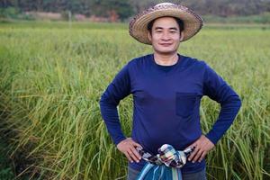 retrato de un agricultor asiático que usa sombrero, camisa azul, se pone las manos en las caderas, se para en el campo de arroz. se siente confiado. concepto, ocupación agrícola. los agricultores tailandeses cultivan arroz orgánico. foto