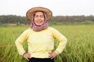 feliz agricultora asiática usa sombrero, camisa amarilla, taparrabos tailandés cubrió su cabeza, puso las manos en las caderas, se siente segura en el campo de arroz. concepto, ocupación agrícola, granjero cultiva arroz orgánico.