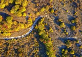 aerial top view from drone of park autumn landscape with trees, colorful lawn, and walking path photo