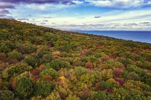 Aerial view from drone of colorful autumn forest and sea photo