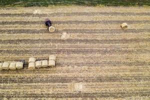 la vista aérea desde el dron hasta el tractor recoge pacas de heno después de cosechar en un campo de trigo. foto