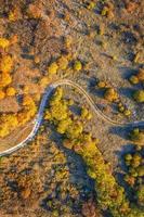 aerial top view from drone of park autumn landscape with trees, colorful lawn, and walking path. Vertical view photo