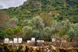 Bee hives in the background of a mountain with rocky Lycian tombs in Fethiye, Turkey