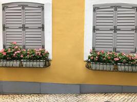 Vintage beautiful two window and flower in a pot and yellow wall street side. photo