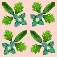 tropical exotic plant leaf,green leaves pattern are made new color for nature concept,abstract background for textile and fabric design,isolated on pink background photo