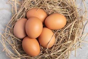 huevos de pollo frescos en paja, fondo gris. copie el espacio foto