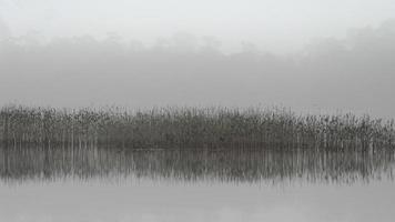 la niebla roba el paisaje de color en un día de invierno en el lago. foto