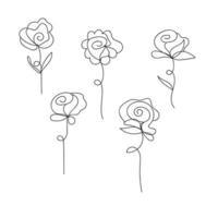 isolated rose flower line art with leaves vector