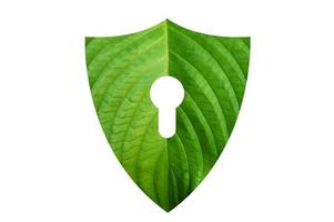 Green shield protects nature and protects the environment on white background. photo